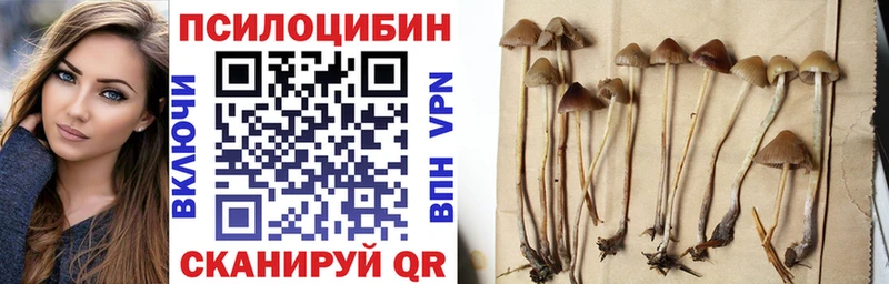 Галлюциногенные грибы мухоморы  Новокузнецк 